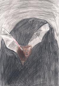 Image of Indiana Bat. Morris County.