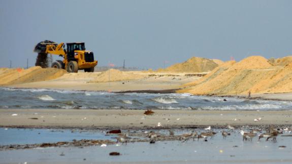 Image of Realizing that beach damage from Hurricane Sandy could mean great population declines for shorebirds, conservation organizations worked together to restore critical beaches by removing rubble and replenishing sand.