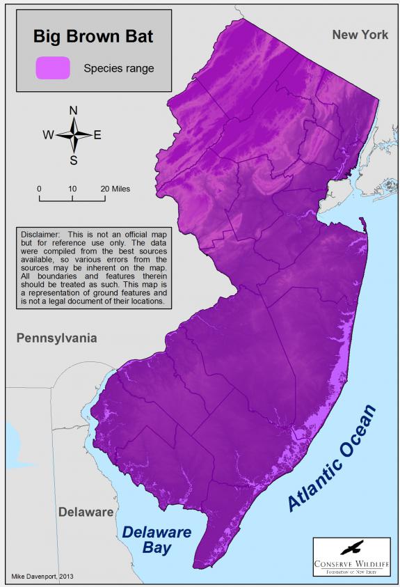 how big is new jersey