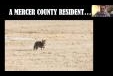 Living with Urban Coyotes with Mercer County Parks, June 16th
