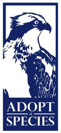 Image of Adopt Logo - Osprey
