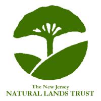 Image of NLT logo