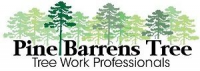 Image of Pine Barrens Tree logo