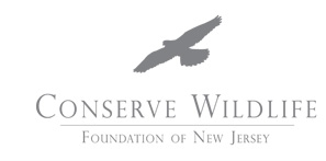 Conserve Wildlife Foundation of New Jersey
