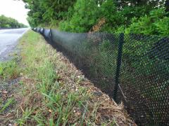 Image of In 2011 we installed ~ 4,000ft of extruded plastic mesh fence along the first portion of Great Bay Blvd. to prevent terrapins from being road killed. 