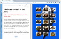 Image of freshwater mussel field guide story map