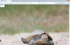 Image of turtle garden story map