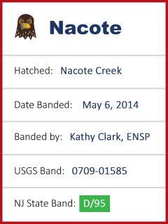 Image of Nacote graphic