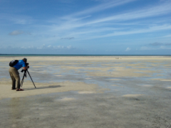 Image of CWF Biologist Todd Pover scanning tidal flat for piping plovers.