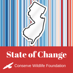 Image of State Of Change Logo