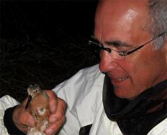 Image of Larry Niles holding a red knot during a banding expedition on the Delaware Bayshore.
