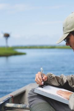 Image of 2023 Summer Field Tech, Rob Carrier records data during an osprey survey. 