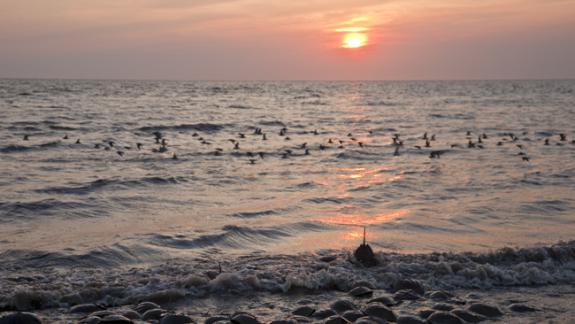 Image of A typical sunset on Delaware Bay in the spring.