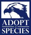 Image of Adopt Osprey - cropped