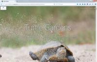 Image of turtle garden story map