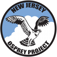Image of Osprey Project logo 2019